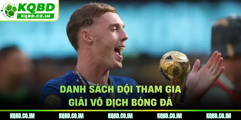 Danh sách đội tham gia giải vô địch bóng đá