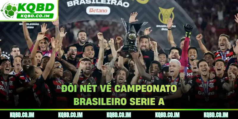 Đôi nét về Campeonato Brasileiro Serie A
