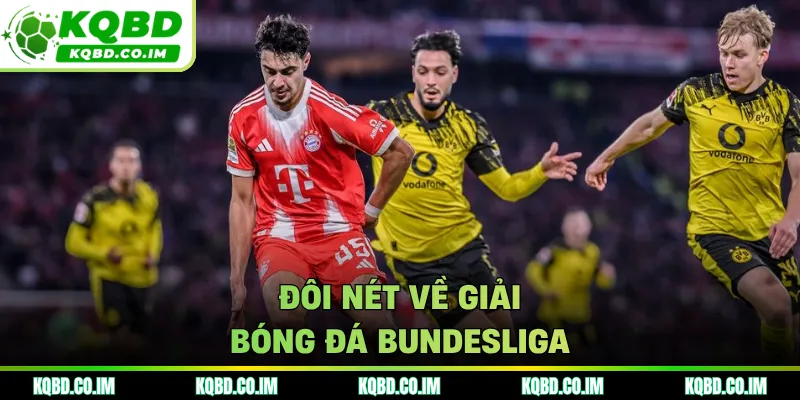 Đôi nét về giải bóng đá Bundesliga