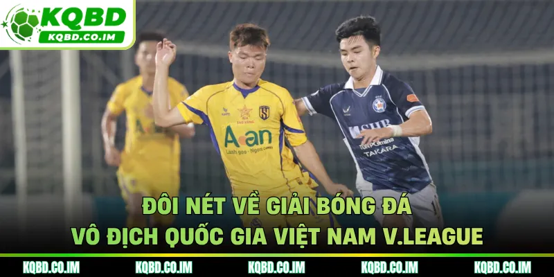 Đôi nét về giải bóng đá vô địch quốc gia Việt Nam V.League
