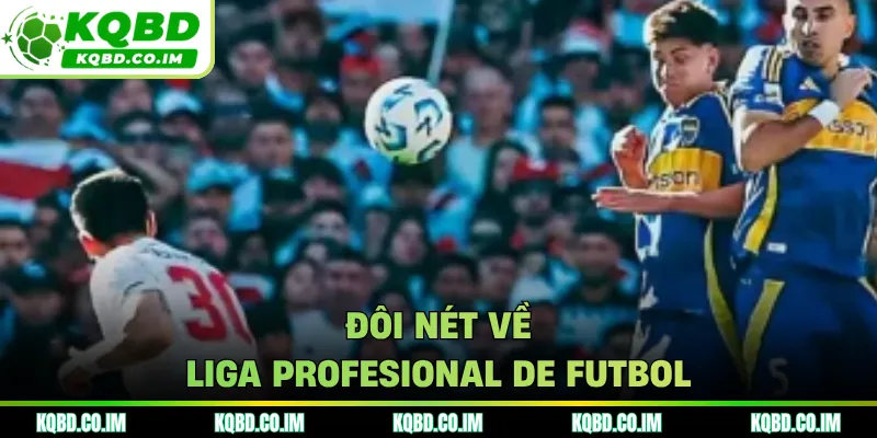 Đôi nét về Liga Profesional de Futbol