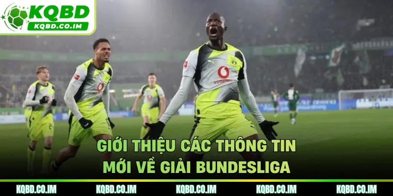 Giới thiệu các thông tin mới về giải Bundesliga