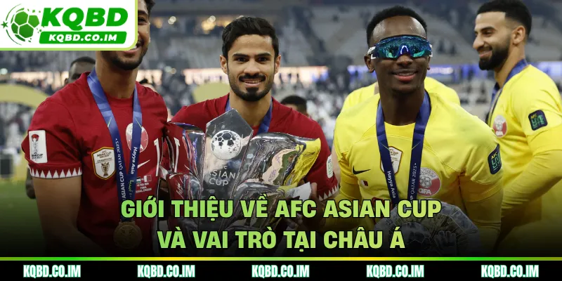 Giới thiệu về AFC Asian Cup và vai trò tại châu Á