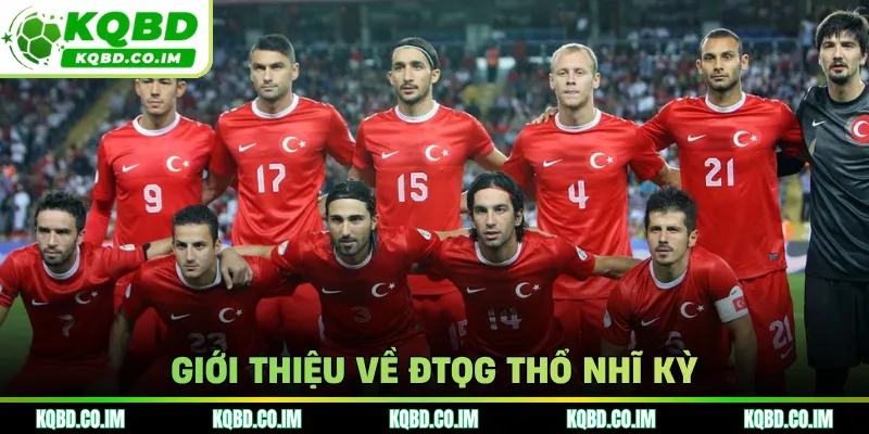 Giới thiệu về ĐTQG Thổ Nhĩ Kỳ