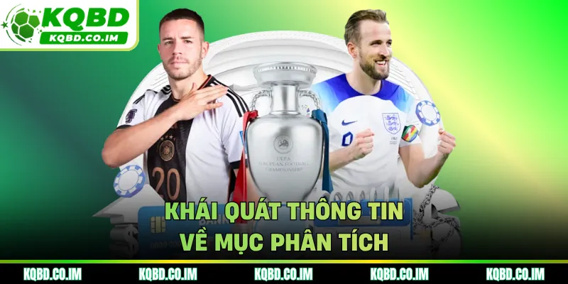 Khái quát thông tin về mục phân tích
