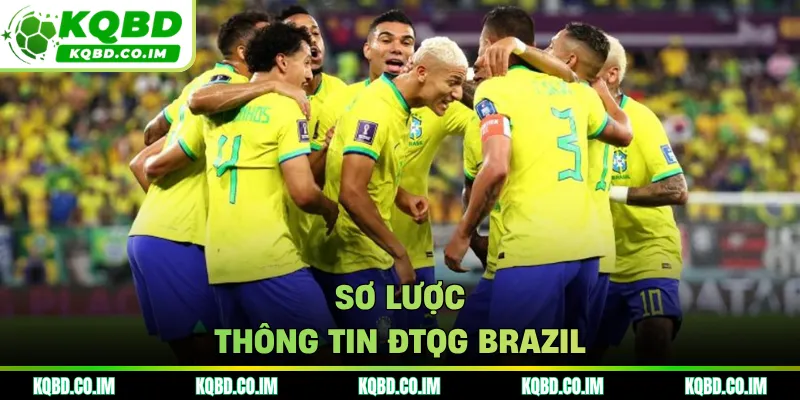 Sơ lược thông tin ĐTQG Brazil