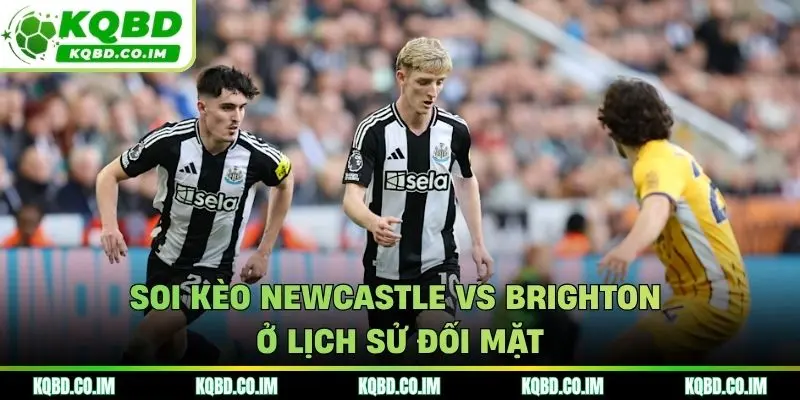 Soi kèo Newcastle vs Brighton ở lịch sử đối mặt