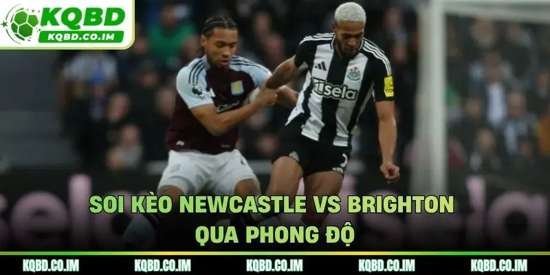 Soi kèo Newcastle vs Brighton qua phong độ