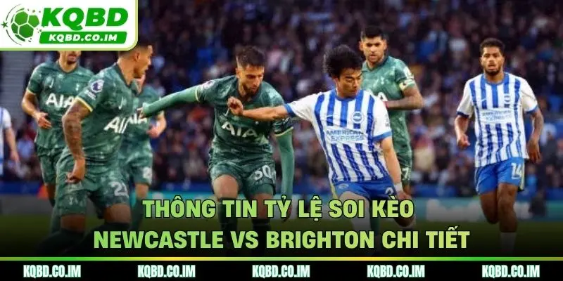 Thông tin tỷ lệ soi kèo Newcastle vs Brighton chi tiết