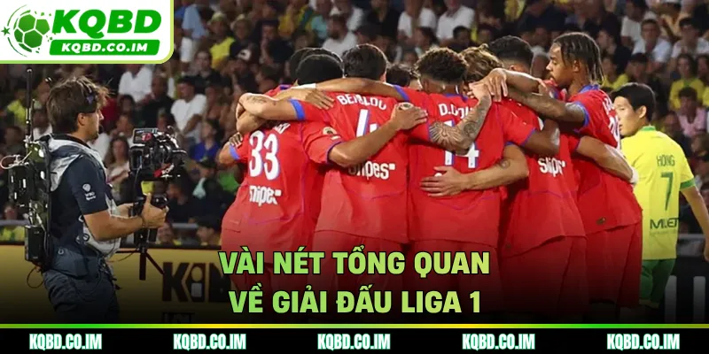 Vài nét tổng quan về giải đấu Liga 1