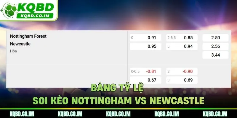 Bảng tỷ lệ soi kèo Nottingham vs Newcastle