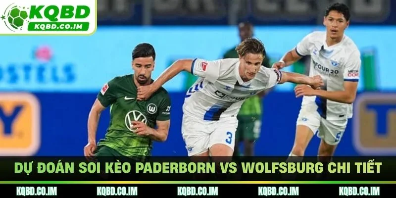 Soi kèo Paderborn vs Wolfsburg qua tỷ lệ kèo