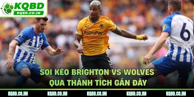 Soi kèo Brighton vs Wolves từ góc nhìn phong độ mới nhất