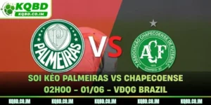 Soi Kèo Palmeiras vs Chapecoense